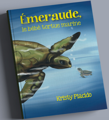 Émeraude, le bébé tortue marine (French) Fluency Matters/Wayside