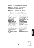 Don Quijote, el ultimo caballero book plus audio Karen Rowan Spanish Language
