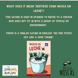 Mosca en Leche, by Margarita Pérez García